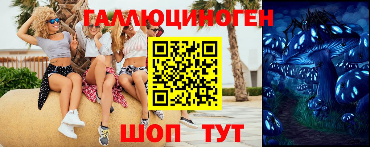 Псилоцибиновые грибы Cubensis Унеча