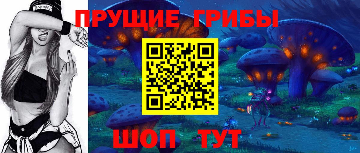 Унеча  Псилоцибиновые грибы MAGIC MUSHROOMS  Псилоцибиновые грибы Cubensis  Вход с VPN 