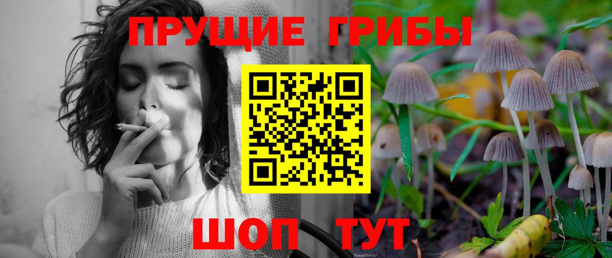 Галлюциногенные грибы Psilocybine cubensis Унеча