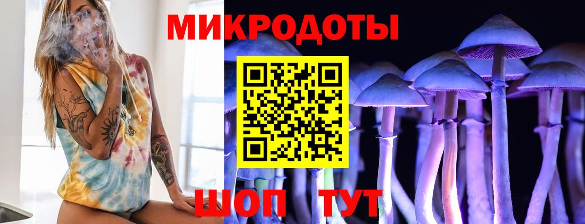 закладки  Галлюциногенные грибы GOLDEN TEACHER  Вход с VPN  Унеча 